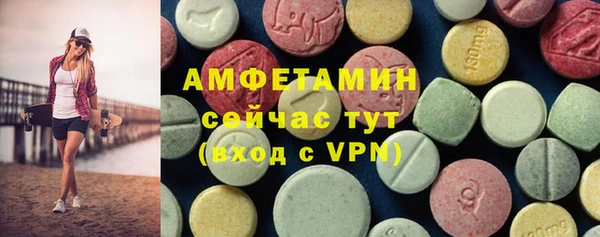индика Алзамай