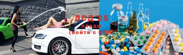 индика Алзамай