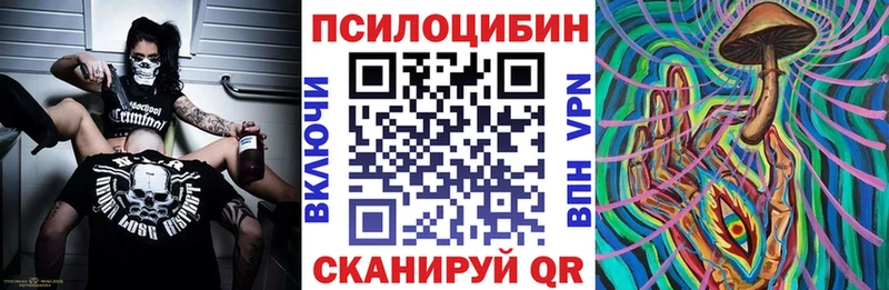 Купить  Кызыл  Галлюциногенные грибы Cubensis 